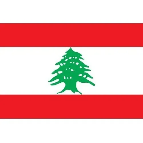 Bandeira Líbano 1,50x0,90mt Poliéster - Imediato