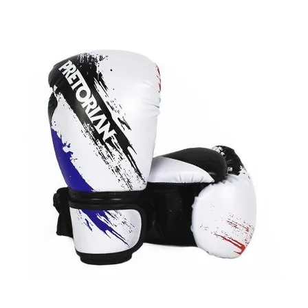Guantes Boxeo Box Pretorian Pro Style 12oz Kick Mma Original