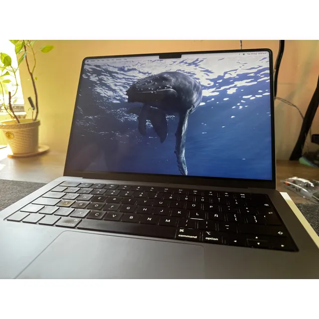 Macbook Pro 14 M1 Pro 16gb Ram 512gb Ssd