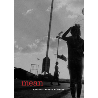 Libro: Mean (phoenix Poets) Libro: Mean (phoenix Poets)