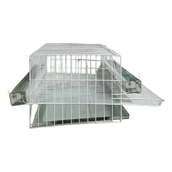 Gaiola Para Codornas Poedeiras 20 Aves