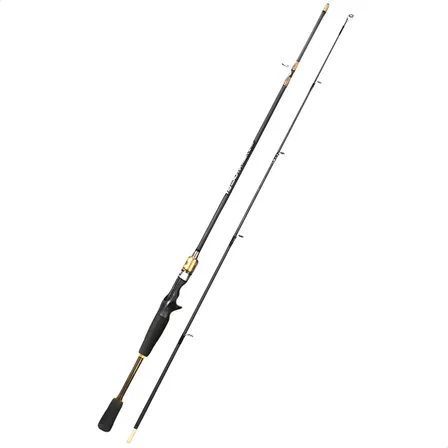 Vara Carbono Carretilha Premium 1,65m 20lbs 2 Partes Preto