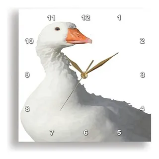 Reloj De Pared 10 3drose Pato Blanco Fondo Transparente Reloj De Pared 10 3drose Pato Blanco Fondo Transparente