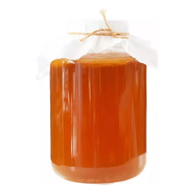Dúo Scoby Kombcha + Kefir Leche - mL a $28996