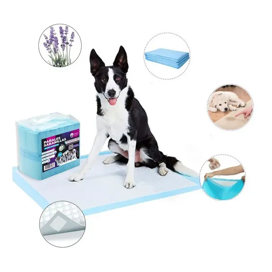100 Pañales Sabanillas Mascotas Perros 60x60 Cm | Cuotas sin interés
