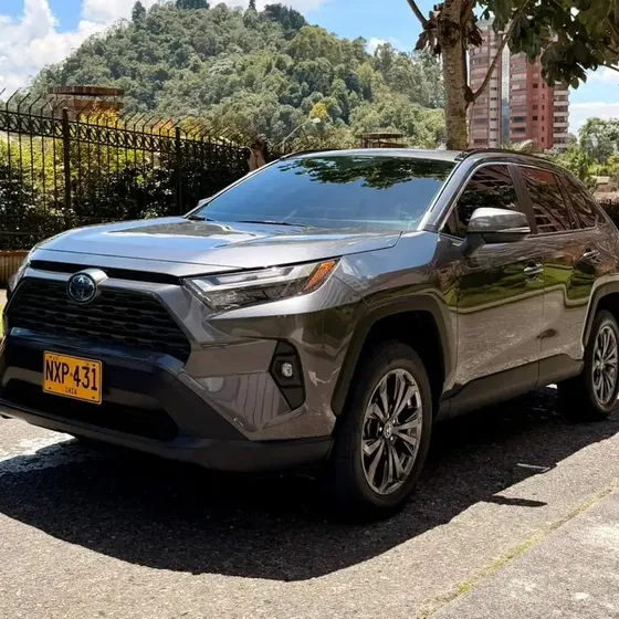 Toyota Rav4 2024 2.5 Limited Hev 4x4 Cvt