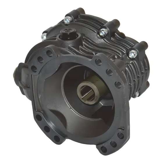 Repuesto Bertolini Rta Reductor 160 Pps 100 Vp