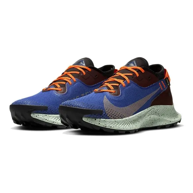 Zapatos Nike Pegasus Gore-tex Trial 2