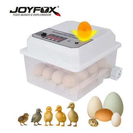 Chocadeira Incubadora Automática Joyfox Para 24 Ovos Com Ovoscópio Chocadeira Elétrica Incubadora Fonte De Alimentação Dupla 127v