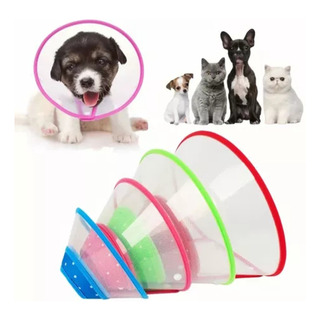 Collar Isabelino Para Gato Mascotas Button Closure Colorido Collar Isabelino Para Gato Mascotas Button Closure Colorido