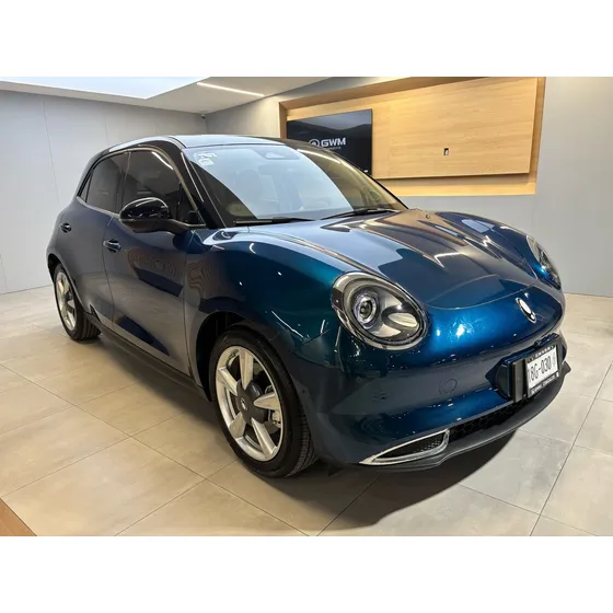 Gwm Tank 300 500 Km Luxury At