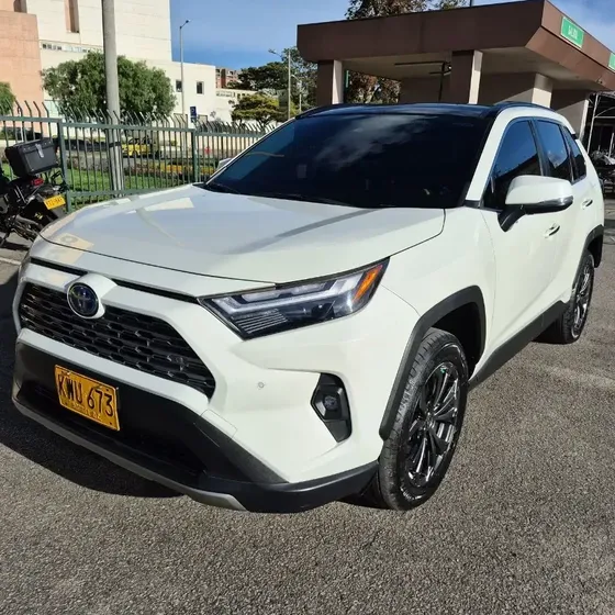 Toyota Rav4 2022 2.5 Limited Hev 4x4 Cvt