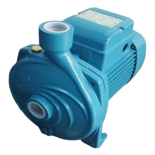 Bomba Centrifuga City Pump (pedrollo) Ic670m 3hp