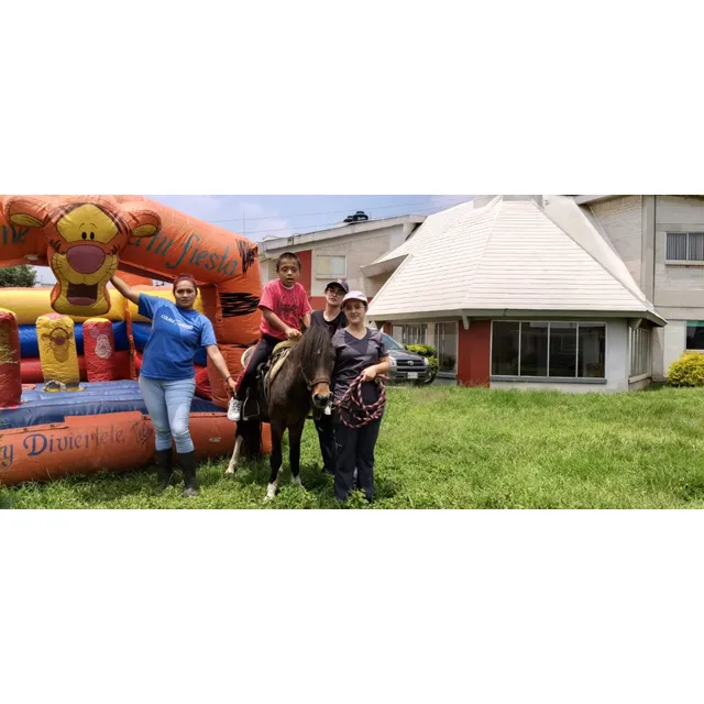 Renta De Pony Para Eventos Infantiles 