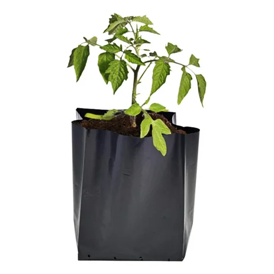 Maceta Nylon Negras Vivero Agro Jardín 10 Litros (x100)
