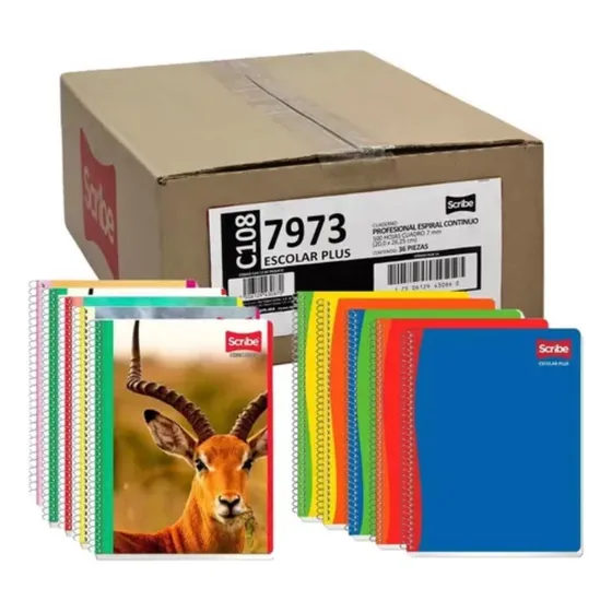 Caja De Cuaderno 36 Piezas Scribe Raya