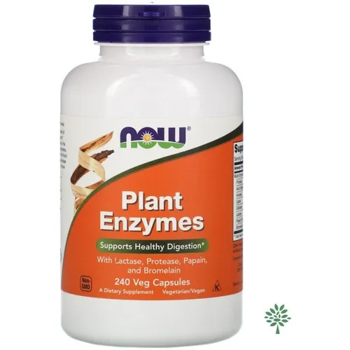 Plant Enzymes 240 cápsulas de enzimas digestivas | Now Foods