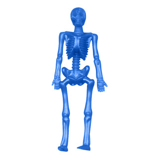 Figura De Esqueleto De Goma Blanda Elástica Y Elástica En Fo Figura De Esqueleto De Goma Blanda Elástica Y Elástica En Fo