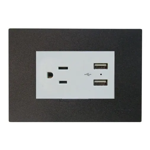 Toma Corriente Sencillo 125v~15a + 2 Puertos Usb Igoto