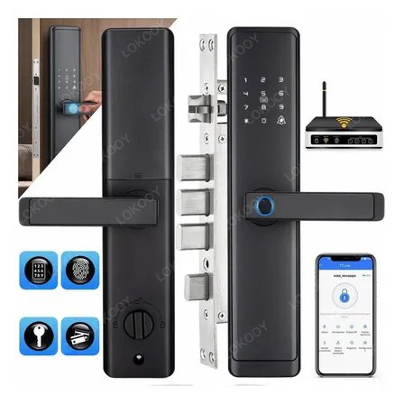 Lokooy® Cerradura Inteligente Electrónica Wifi, Chapas Smart Lock Cerradura Inteligente Electrónica Wifi Derecha/izquierda Tt Lock Dawei Go Preto