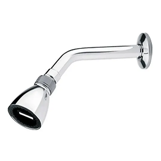 Regadera Fp Euro Metalica Lujo Inoxidable