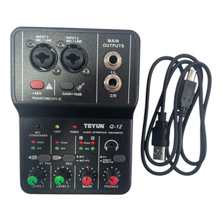 Interface De Audio Usb Teyun Q12 Placa De Gravação Pc Q-12 Interface De Audio Usb Teyun Q12 Placa De Gravação Pc Q-12