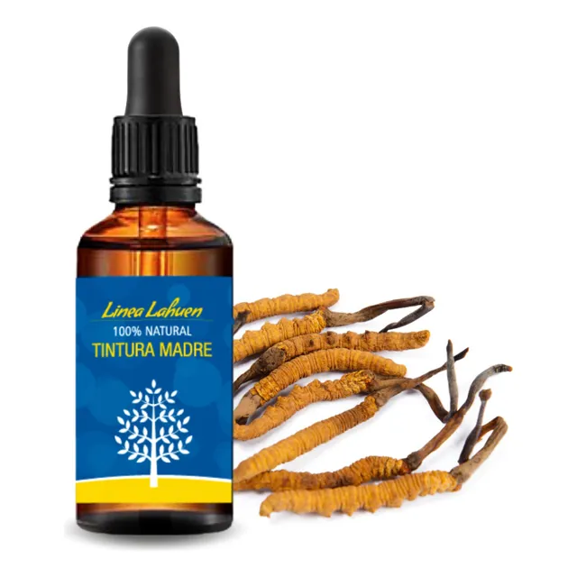 Cordyceps En Gotas 50ml Extracto Puro