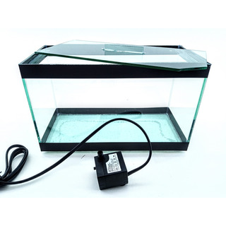 Aquário Com Bomba Beteira Retangular 25x12x15 Peixe E Planta Aquário Com Bomba Beteira Retangular 25x12x15 Peixe E Planta
