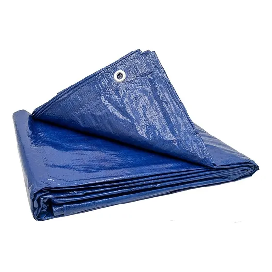 Lona Plastica Impermeable 2.4 X 3 Mts