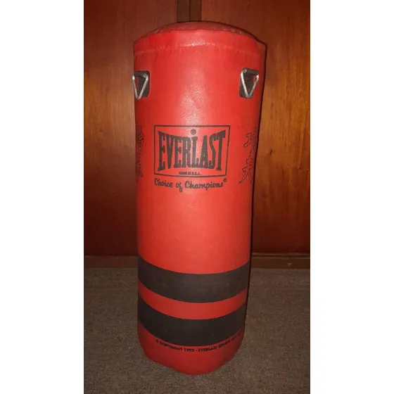 Bolsa De Boxeo Artes Marciales 40lbs -  Everlast
