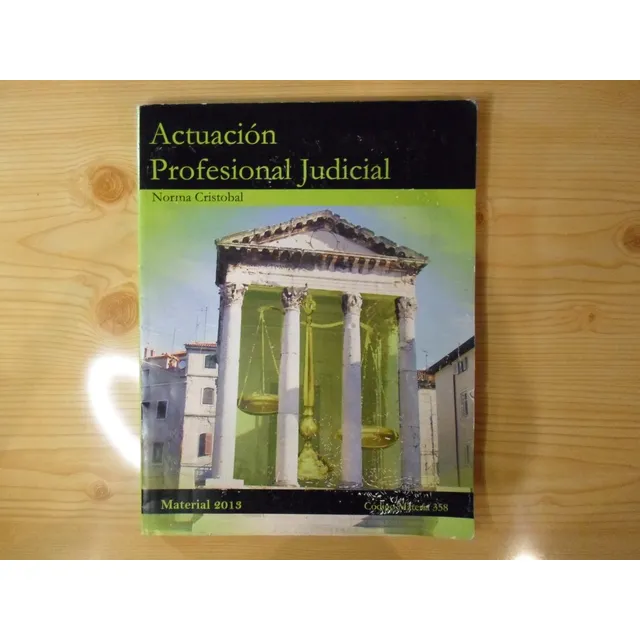 Actuacion Profesional Judicial - Norma Cristobal