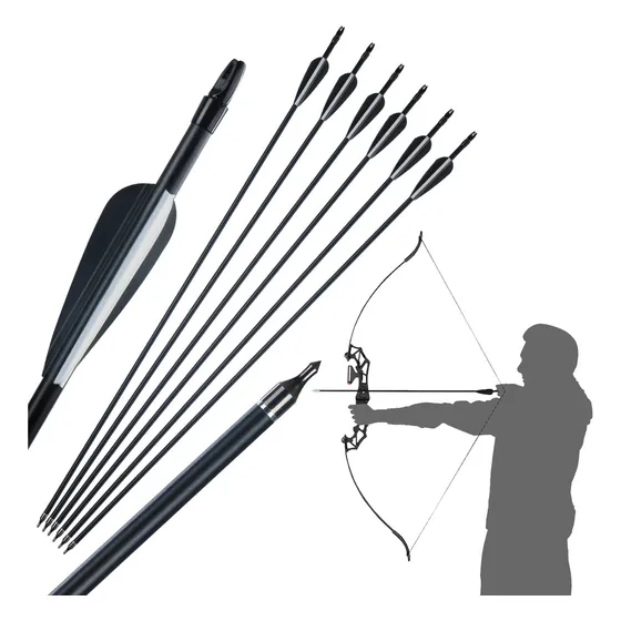 Tradicional Arco Y Flechas Profesional Carbono 6 Unidades