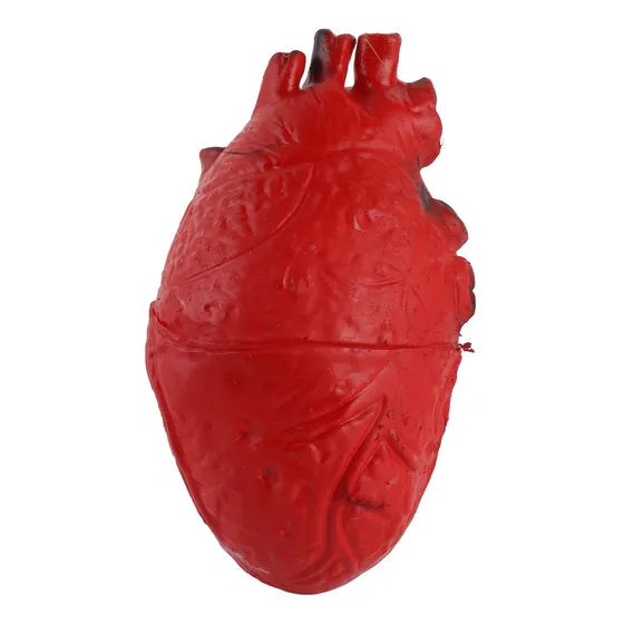 Corazón Artificial, Látex Humano Falso, Tamaño Natural, Sang