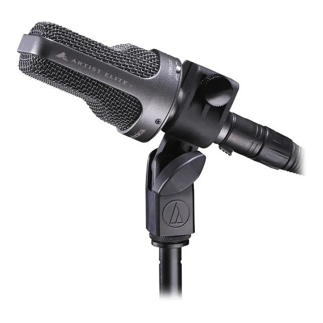 Micrófono De Instrumento De Condensador Cardioide Ae3000 Color Negro