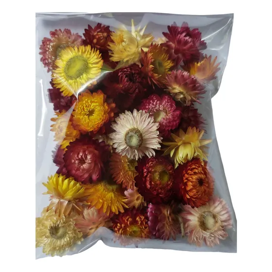 Flores Secas Siemprevivas X 30 Unidades