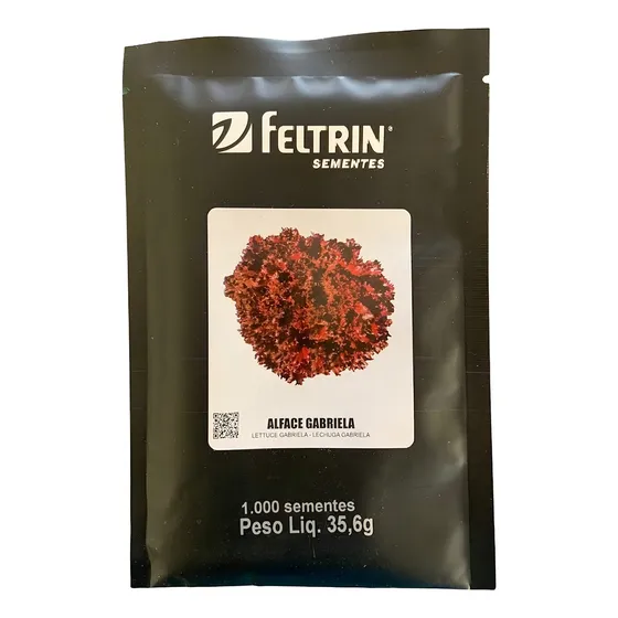 Sementes De Alface Crespa Roxa Gabriela Feltrin 1000 Semente