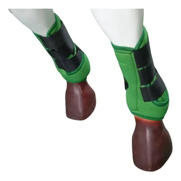 Cañeras De Caballo