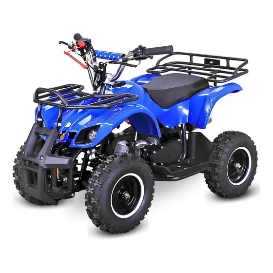 Mini Quadriciclo 49cc Carrinho Infantil 2 Tempos C/ Nf - Dsr