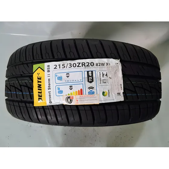 Pneu Delinte Desert Storm II DS8 215/30R20 82 W