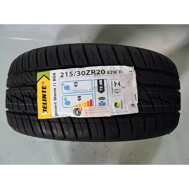 Pneu Delinte Desert Storm II DS8 215/30R20 82 W