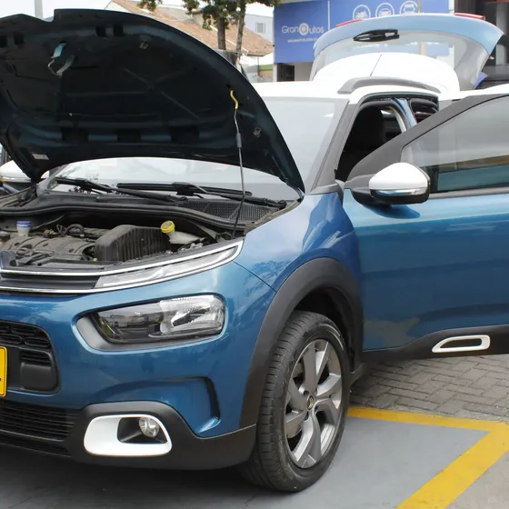 Citroën C4 Cactus 2020 1.6 Feel Aut
