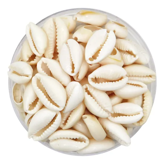 Buzios Chicos Partidos Naturales Tobillera Caracoles X 100gr