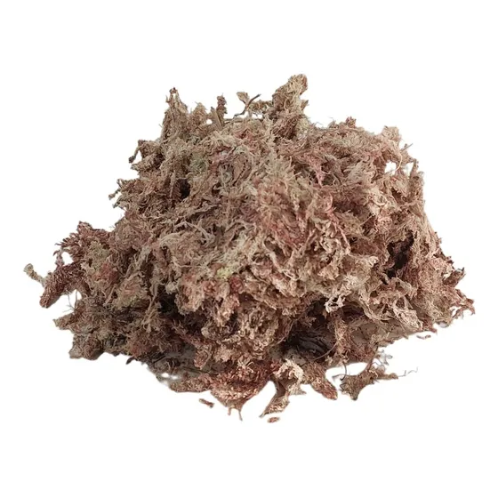 Musgo Sphagnum 40 Litros Deshidratado Premium