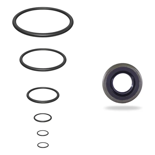 Kit Bomba Direccion Explorer Eddie Bauer V8 4.6lts 2006-2012