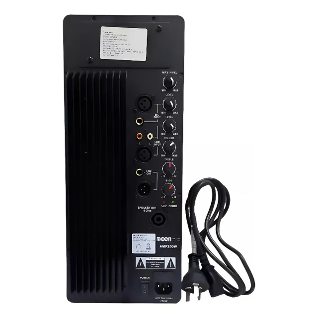 Modulo Amplificador Potencia Bafle Potenciado 250w