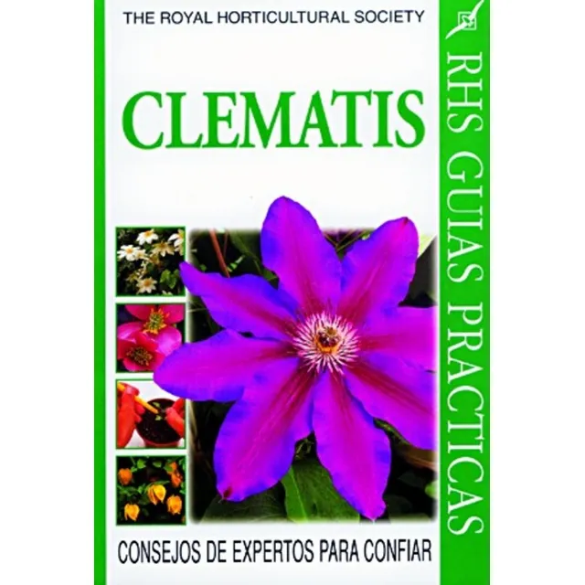 Clematis