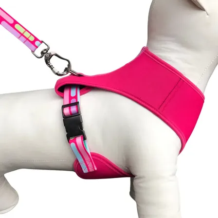 Conjunto Peitoral Colete Neoprene C/ Guia Estampada Seda G Rosa Variado G