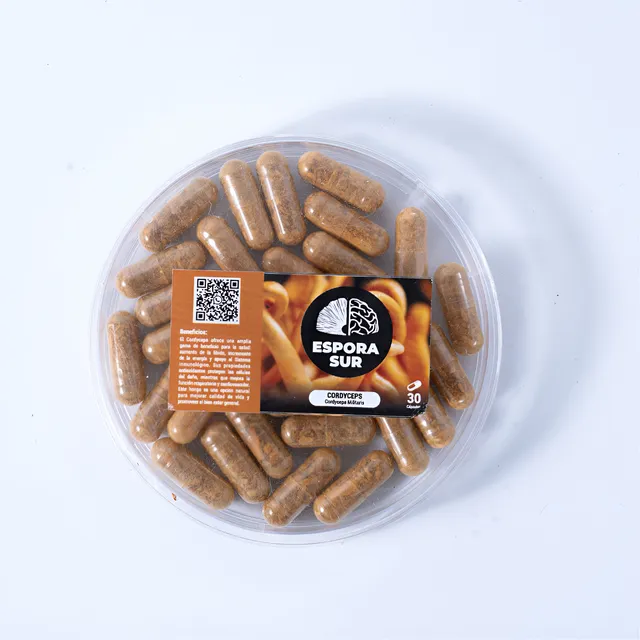 Cordyceps - Hongo Adaptogeno - Capsulas 