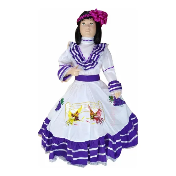 Disfraz Traje Típico De Aguascalientes Para Niña