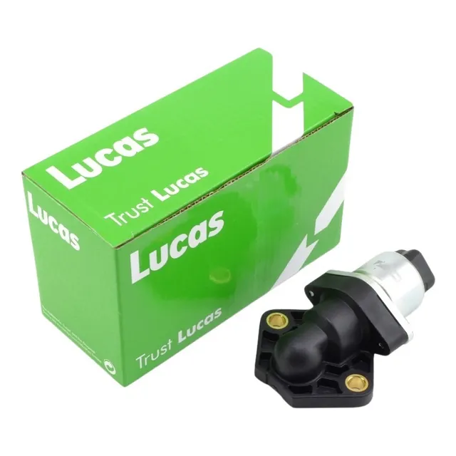 Motor Paso A Paso Ralenti Ford Focus Ecosport 1.6 8v Rocam